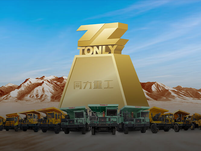 公司概况与愿景